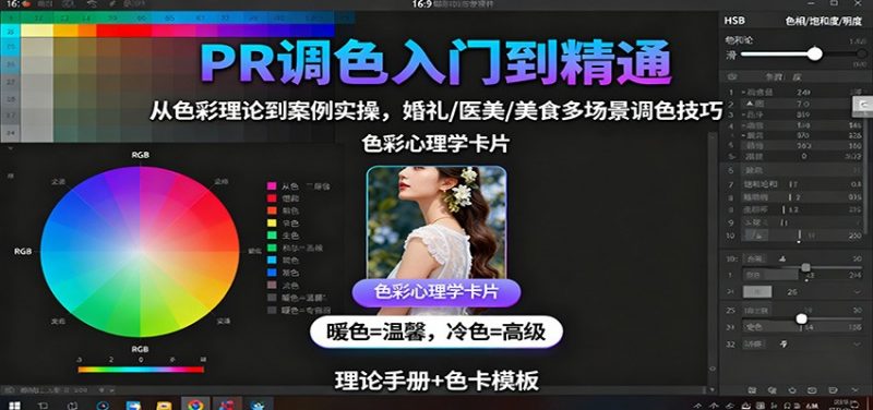 PR调色入门到精通：从色彩理论到案例实操，婚礼/医美/美食多场景调色技巧-老菜鸟