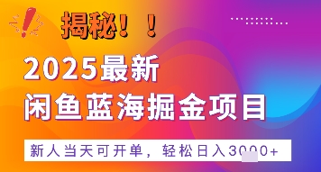 2025最新闲鱼蓝海掘金项目,新人当天可开单,轻松日入多张+的保姆级教程-老菜鸟