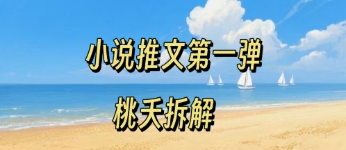 小说推文项目操作全流程第一弹，0粉就能做，门槛低非常适合新手-老菜鸟