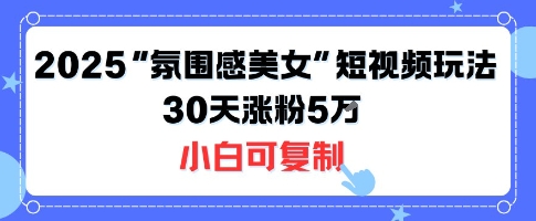 不露脸也能火！2025“氛围感美女”短视频玩法，30天涨粉5W小白可复制-老菜鸟