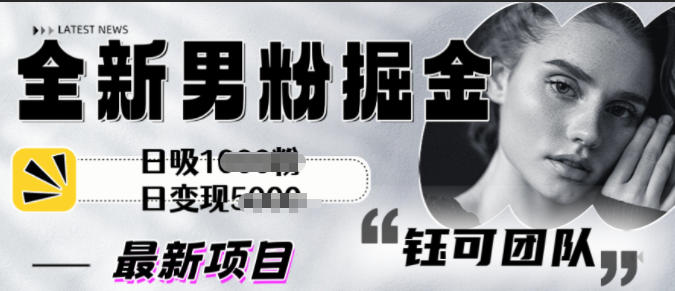 全新男粉掘金思路日吸粉100+，日变现1000+-老菜鸟