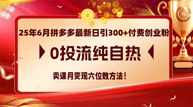 2025年6月拼多多最新日引300+付费创业粉，0投流纯自热 卖课月变现六位数方法-老菜鸟