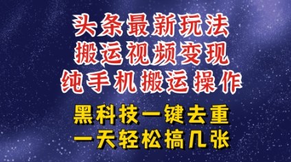 今日头条纯搬运玩法，轻松过原创不违规，轻松日入三位数，稳的很-老菜鸟