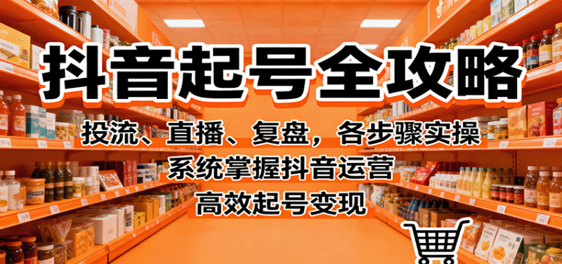 抖音起号全攻略，投流、直播、复盘，各步骤实操，系统掌握抖音运营，高效起号变现-老菜鸟