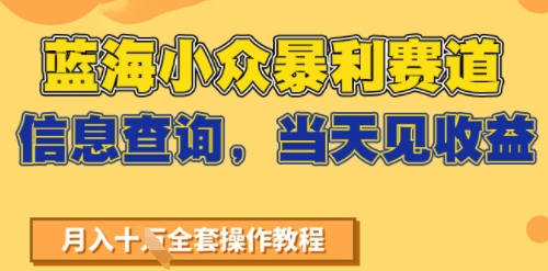 蓝海小众暴利赛道，信息查询，当天见收益，不讲玄学，7天搞了2W+-老菜鸟