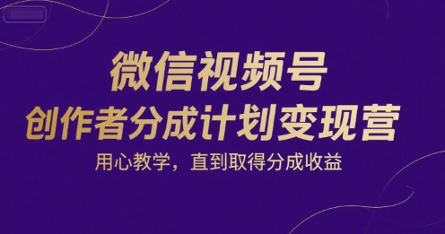 微信视频号创作者分成计划变现营，用心教学，直到取得分成收益-老菜鸟