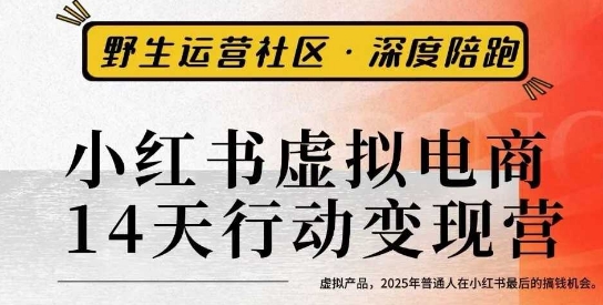 小红书虚拟电商14天变现训练营3.0，​虚拟产品，2025年普通人在小红书最后的搞钱机会-老菜鸟