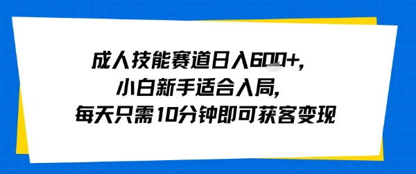 成人技能赛道日入多张，小白新手适合入局，每天只需10分钟即可获客变现-老菜鸟