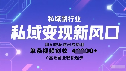 私域变现新风口：用AI做私域已成热潮，单条视频创收1k+，0基础副业轻松起步-老菜鸟