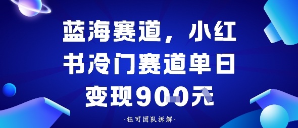 小红书冷门蓝海赛道，0成本，单日变现多张-老菜鸟