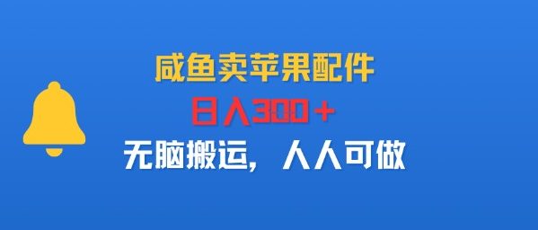 闲鱼卖苹果配件，日入300+，无脑搬运，人人可做-老菜鸟