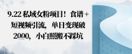 私域女粉项目！食谱+短视频引流，单日变现破多张，小白照搬不踩坑-老菜鸟