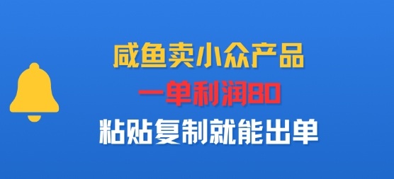 闲鱼卖小众产品，一单利润80，粘贴复制就能出单-老菜鸟