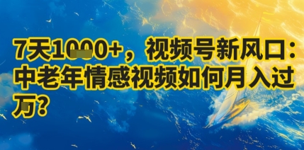 7天收益1k+，视频号新风口：中老年情感视频如何月入过W?-老菜鸟
