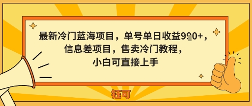 最新冷门蓝海项目，单号单日收益多张，信息差项目，售卖冷门教程，小白可直接上手-老菜鸟