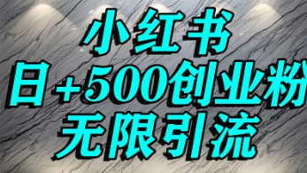 小红书无限引流创业粉，单人操作日引500+精准创业粉-老菜鸟