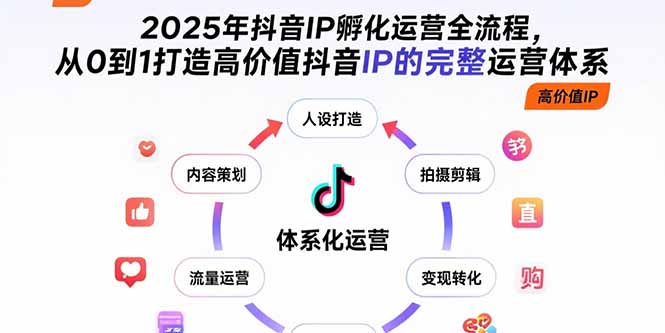 2025年抖音IP孵化运营全流程，从0到1打造高价值抖音IP的完整运营体系-老菜鸟