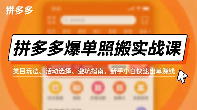 拼多多爆单照搬实战课，类目玩法、活动选择、避坑指南，新手小白快速出单赚钱-老菜鸟