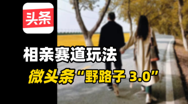 微头条“野路子3.0”相亲赛道玩法，搬砖式操作单号稳定300+-老菜鸟