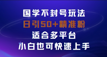 国学赛道不封号玩法，日引50+精准粉适合多平台，小白也可快速上手-老菜鸟