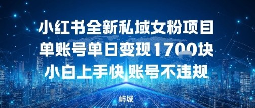 小红书全新私域女粉项目单账号单日变现多张，小白上手快账号不违规建议准备多账号操作-老菜鸟
