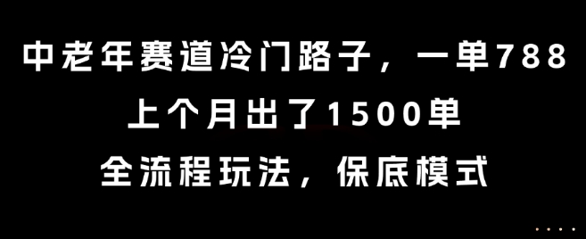 中老年赛道冷门路子，一单788，上个月出了1500单，全流程玩法，保底模式-老菜鸟