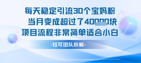 每天稳定引流30个人 当月变成超过了4个W 项目流程非常简单 适合小白-老菜鸟