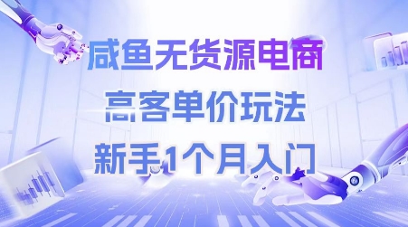 闲鱼无货源电商，高客单价玩法，新手1个月入门-老菜鸟