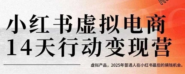 小红书虚拟电商14天变现训练营，虚拟产品，2025年普通人在小红书最后的搞钱机会-老菜鸟