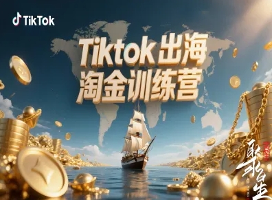 Tiktok出海淘金训练营,跨境电商TK实战变现-老菜鸟