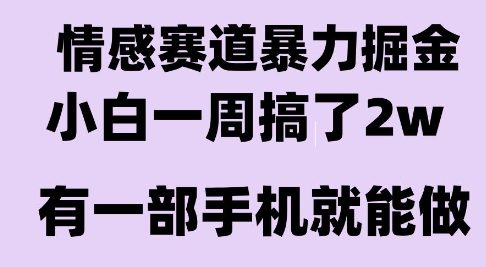 情感暴力掘金项目，新人操作一周挣了2W，长期稳定小白可做-老菜鸟