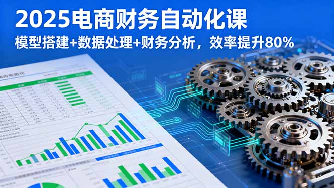 2025电商财务自动化课，模型搭建+数据处理+财务分析，效率提升80%-老菜鸟