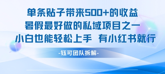 单条贴子带来5张的收益，暑假最好做的私域项目之一，小白也能轻松上手，有小红书就行-老菜鸟
