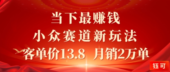 当下最挣钱的小众赛道 小红书新玩法10个作品涨粉3W，客单价13.8 月销2W单-老菜鸟