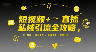 短视频+直播私域引流全攻略，IP打造 +视频引流 +直播引流 +私域沉淀-老菜鸟