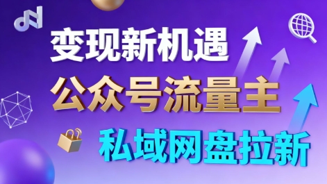 公众号流量主+私域网盘拉新，多方式变现，简单易上手，当天就有收益-老菜鸟