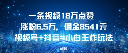 一条视频18W点赞涨粉6.5W，佣金8541视频号+抖音=小白王炸玩法-老菜鸟