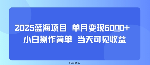 2025蓝海项目 单月变现6k+ 小白操作简单 当天可见收益-老菜鸟