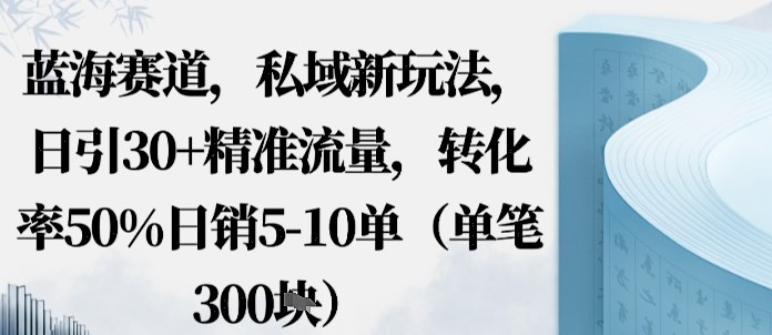 蓝海赛道，私域新玩法，日引30+精准流量，转化率50%日销5-10单（单笔3张）-老菜鸟