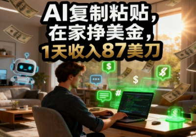 AI复制粘贴，在家挣美金，1天收入87美刀，适合小白，长久的被动收入-老菜鸟