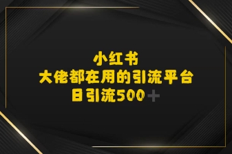 小红书，大佬都在用的大粉平台，日引流500+-老菜鸟