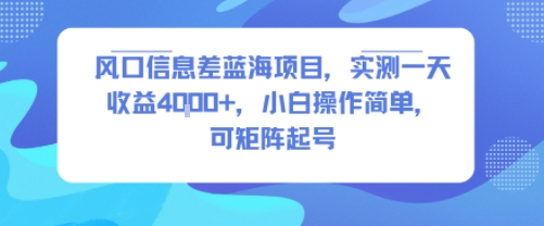 风口信息差蓝海项目，实测一天收益4k+，小白操作简单，可矩阵起号-老菜鸟
