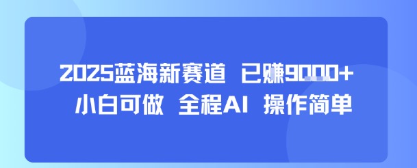 2025蓝海新赛道 已挣9k+ 小白可做 全程AI 操作简单-老菜鸟