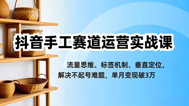抖音手工赛道运营实战课，流量思维、标签机制、垂直定位，解决不起号难题，单月变现破3万-老菜鸟