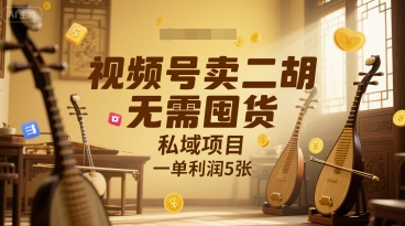 视频号卖二胡，无需囤货，私域项目，一单利润5张-老菜鸟