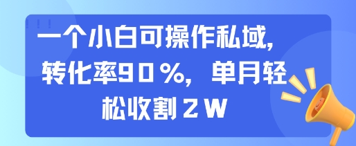 一个小白可操作私域，转化率90%，单月轻松收割2W-老菜鸟