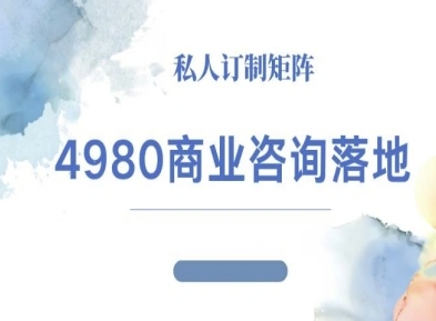 4980商业咨询师落地课程-ip运营高客单教程-老菜鸟