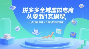 拼多多全域虚拟电商从零到1实操课，小白虚拟电商从0到1实操到精通-老菜鸟