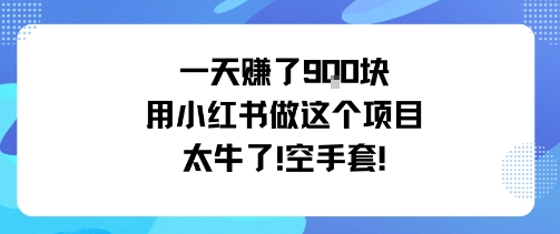 一天挣了9张用小红书做这个项目太牛了，空手套-老菜鸟