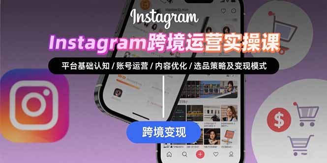Instagram跨境运营实战:平台认知/账号运营/内容优化/选品策略及变现模式-老菜鸟